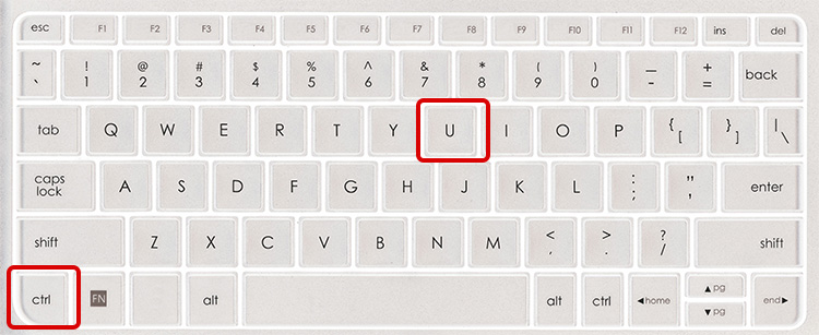 キーボードで「Ctrl」+「U」を押す キーボードで「Ctrl」+「U」を押す