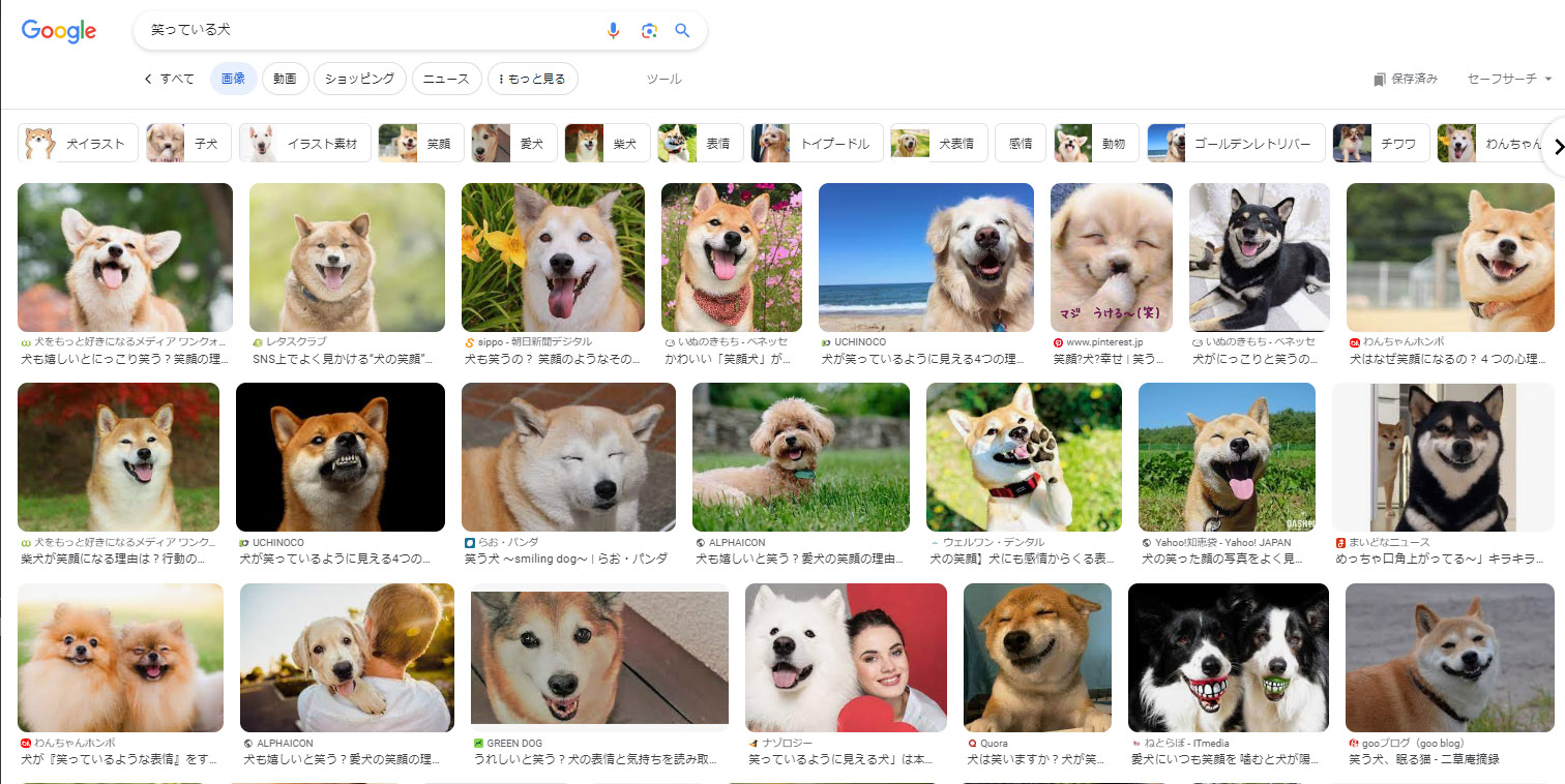 「笑っている犬」の画像検索したときの表示