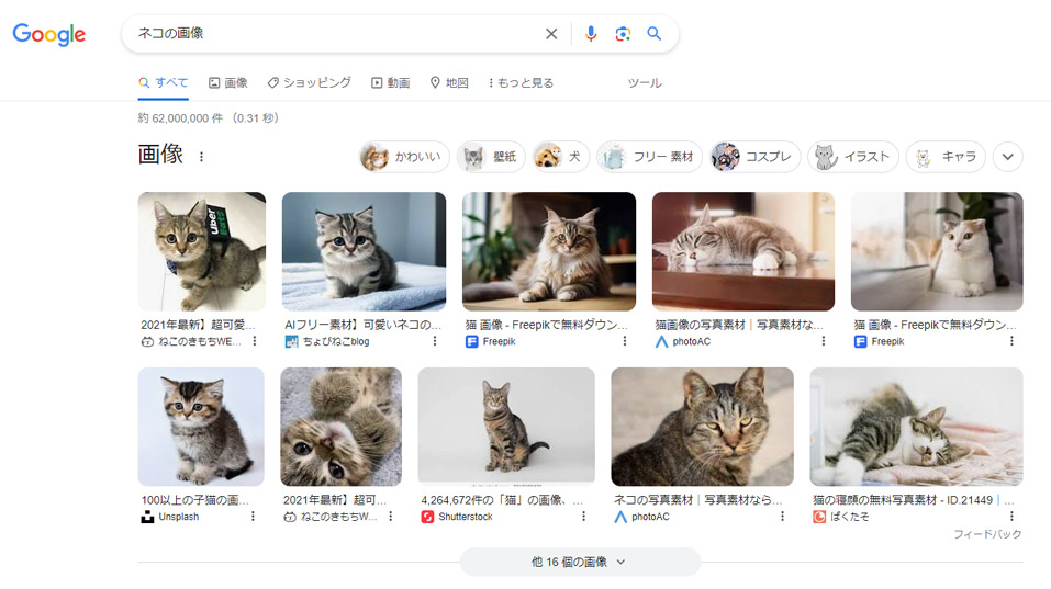 検索結果に表示されたネコの画像一覧